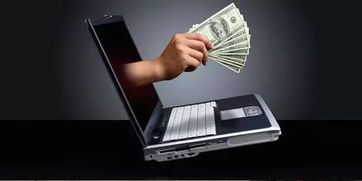 美国教师工资不够用, 靠网络捞外快挣大钱