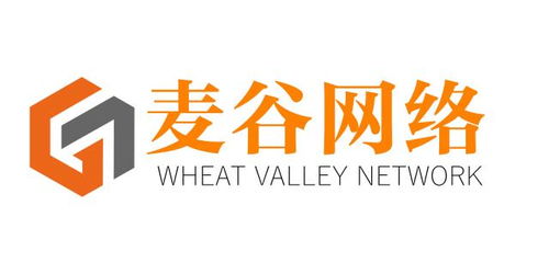 长治市麦谷网络科技