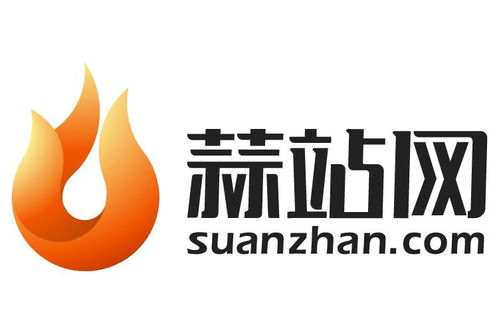 四川蒜站网络科技 川蜀大地上的数字先锋